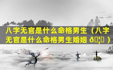 八字无官是什么命格男生（八字无官是什么命格男生婚姻 🦉 ）